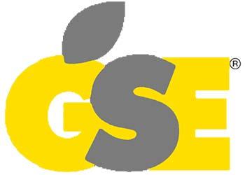 GSE
