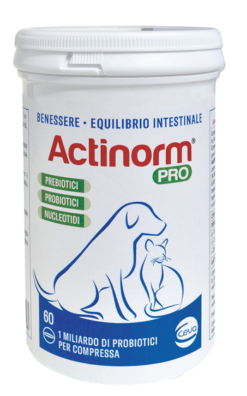 Actinorm Pro