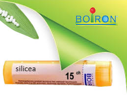 Boiron Silicea 15CH Granuli Omeopatici