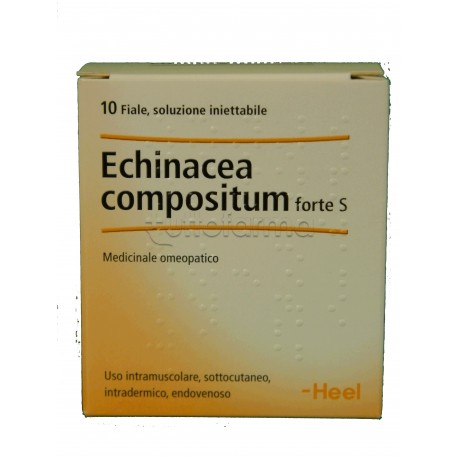 Echinacea Compositum Forte S -Heel Fiale Omeopatiche