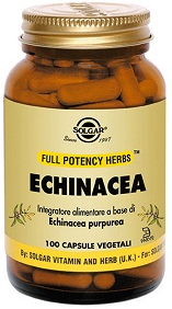 Echinacea 