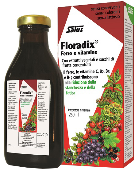 Floradix Integratore multivatiminico e ferro