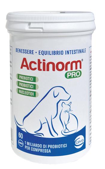 Actinorm Pro