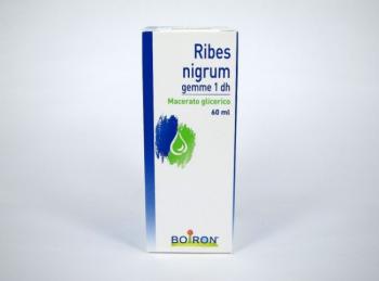 Boiron Ribes Nigrum Gemme Macerato Glicerico