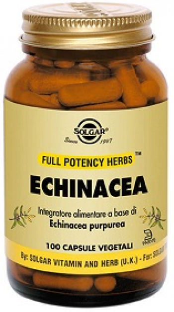 Echinacea 