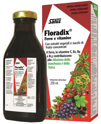 Floradix Integratore multivatiminico e ferro